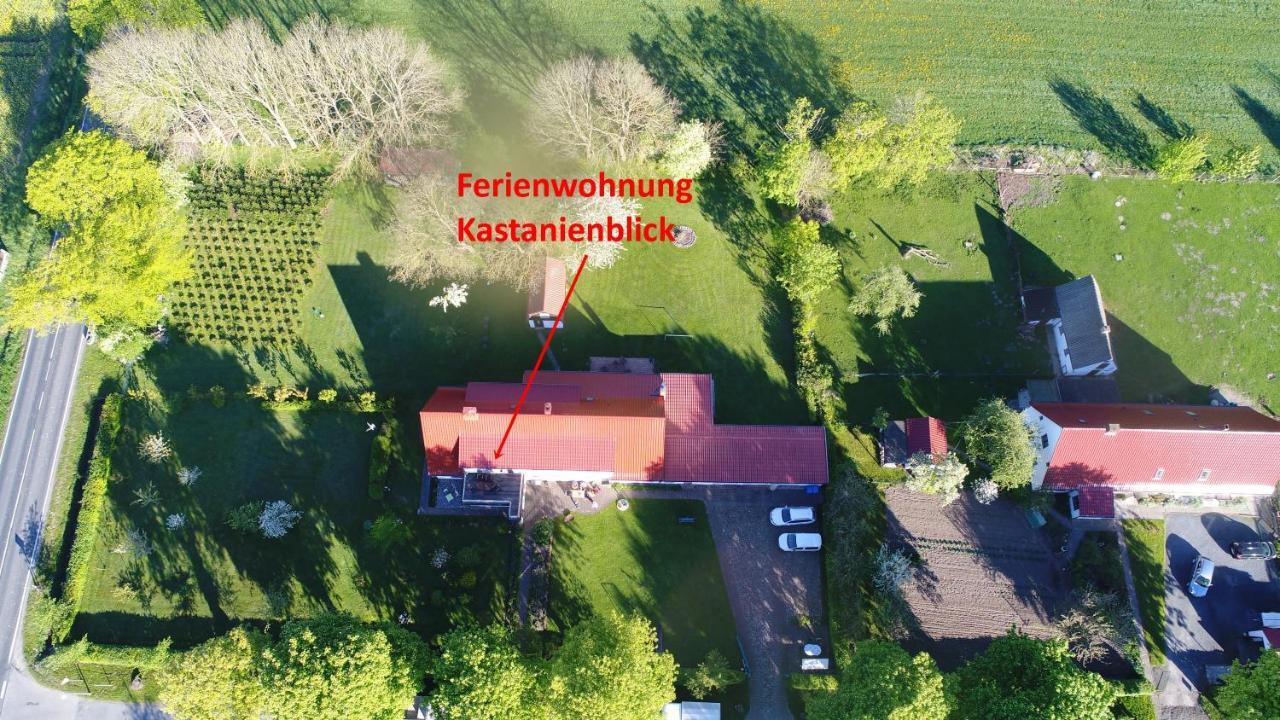 Urlaub Auf Der Insel Ruegen Apartment Bergen Auf Rugen Ruang foto
